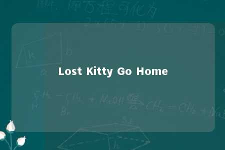 Lost Kitty Go Home